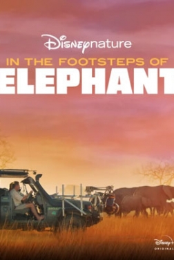 Sur la route des éléphants (2020)