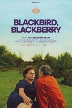 Blackbird, Blackberry  (2023)
